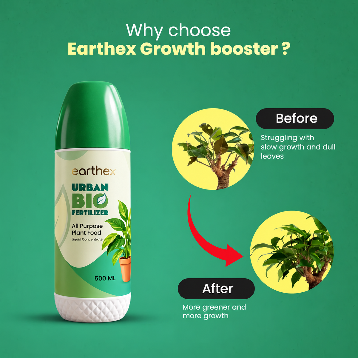 Earthex Urban Biofertilizer
